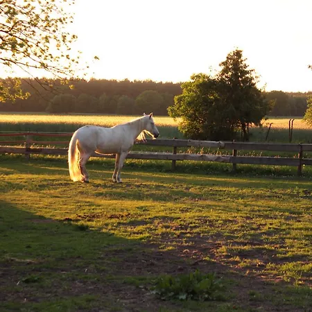 בית כפרי Gaestehaus 20
